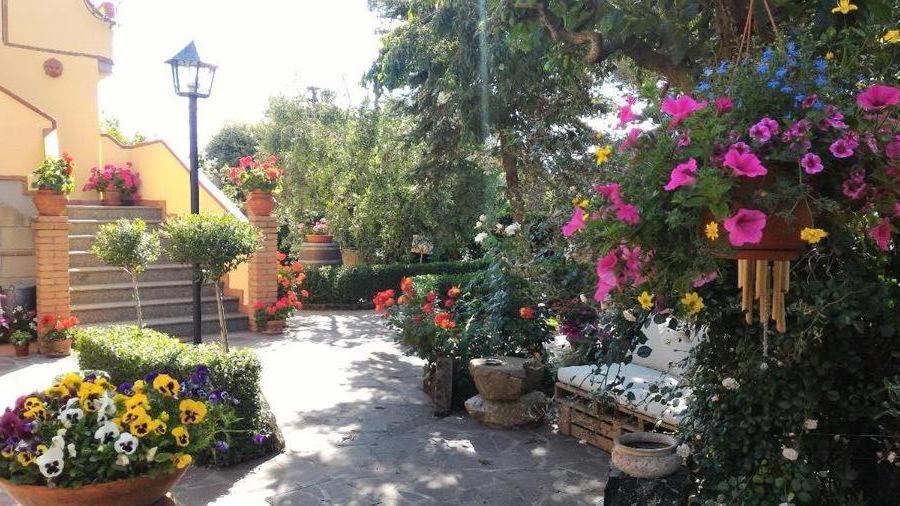 Bed And Breakfast Val Di Lupa Castellina Marittima Exterior photo