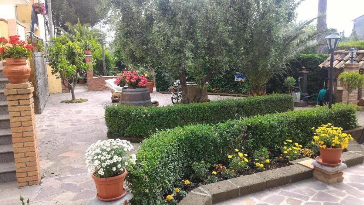 Bed And Breakfast Val Di Lupa Castellina Marittima Exterior photo